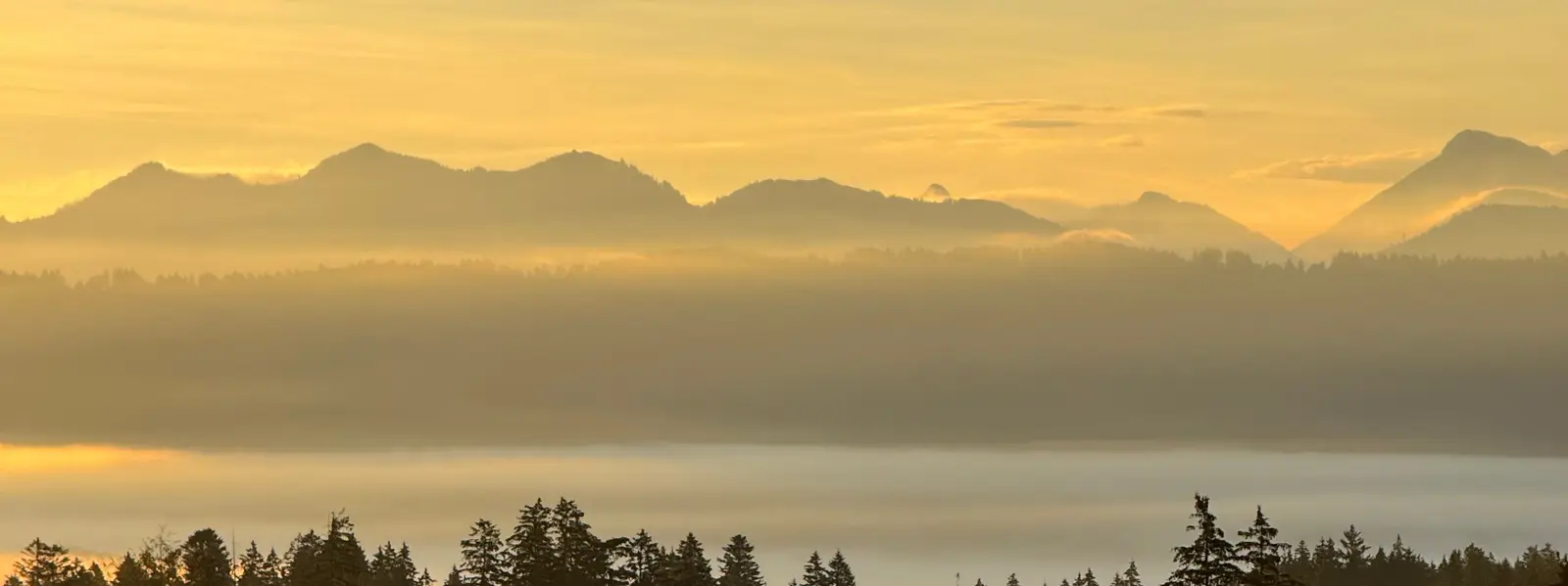 Morgenlicht und Nebel über Hügeln und Wald